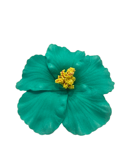 Hair Clip “Tropicoqueta”