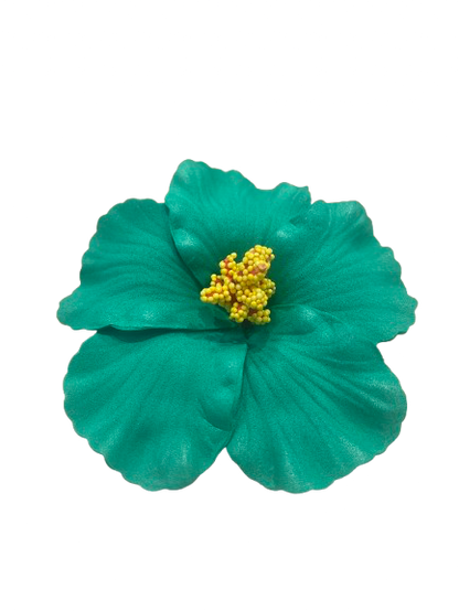 Hair Clip “Tropicoqueta”